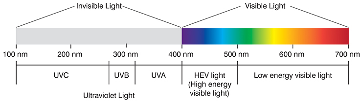 Light Spectrum